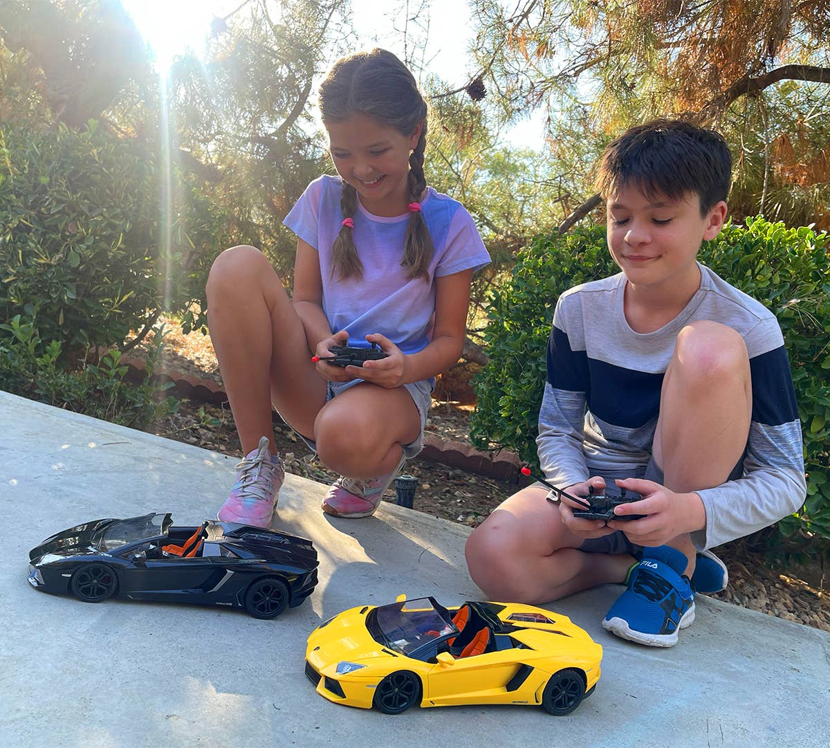 1:14 Lamborghini Aventador Roadster Electric RC Car