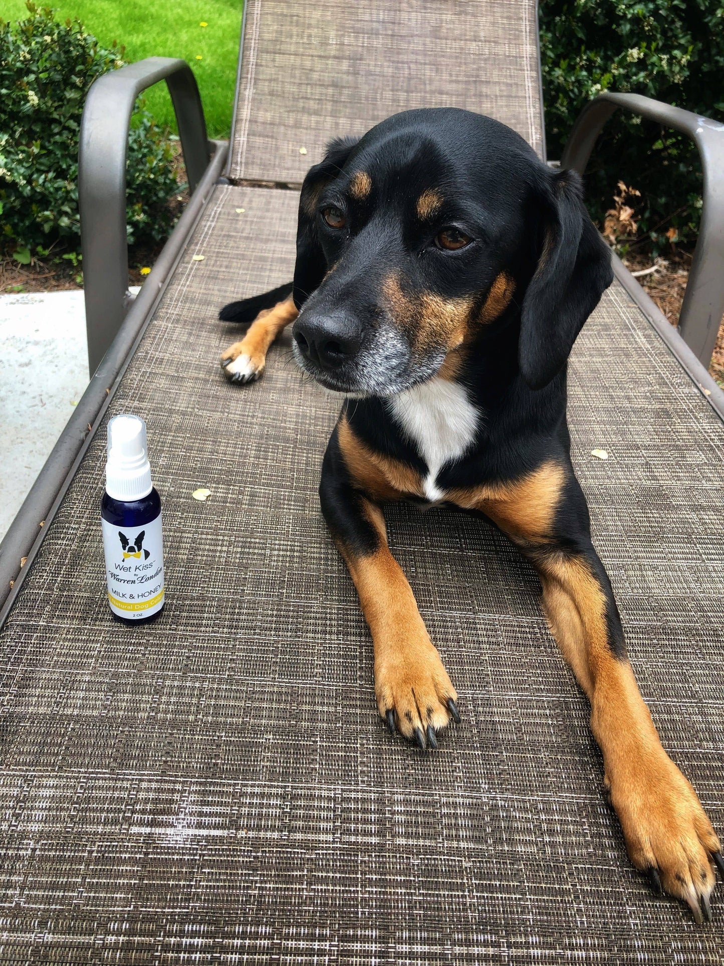 Wet Kiss Dog Cologne - 2 oz