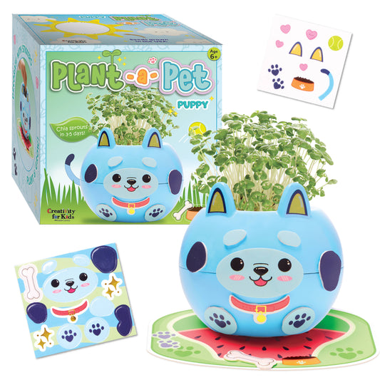 Plant and Decorate a Pet Mini Grow Craft Kit for Kids