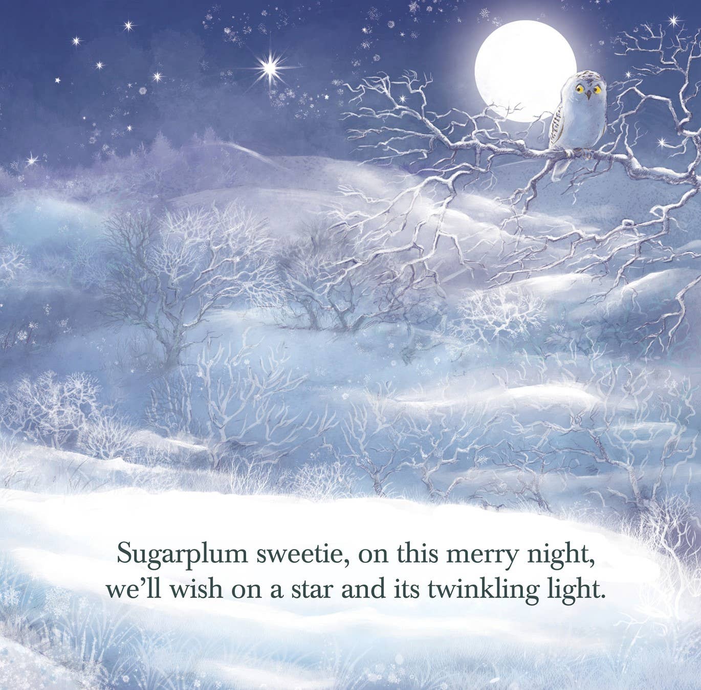 Christmas With Auntie Picture Book