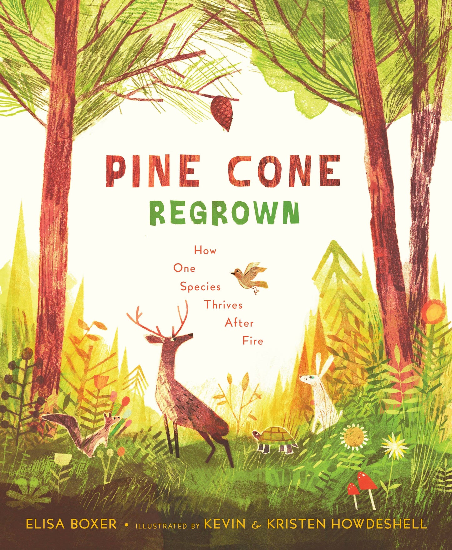 Pine Cone Regrown Picture Book