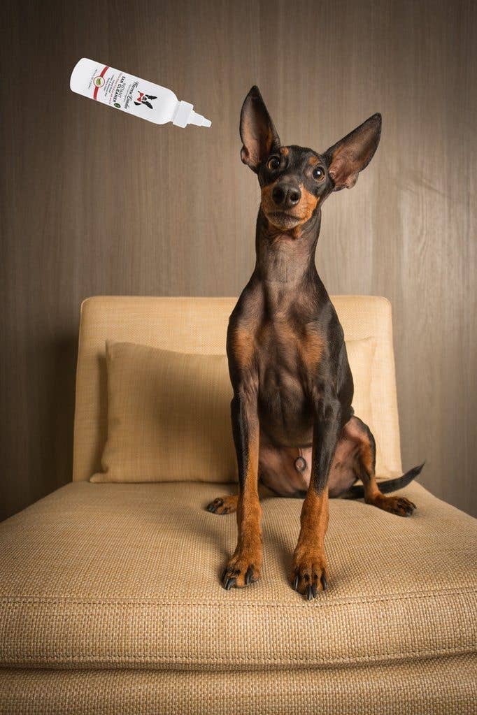 Instant Ear Cleaner - 3 Sizes