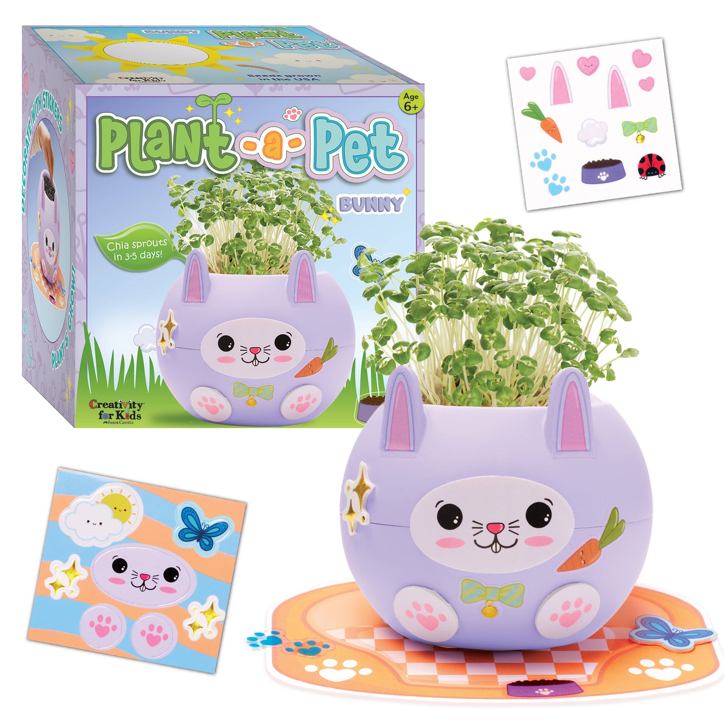 Plant and Decorate a Pet Mini Grow Craft Kit for Kids