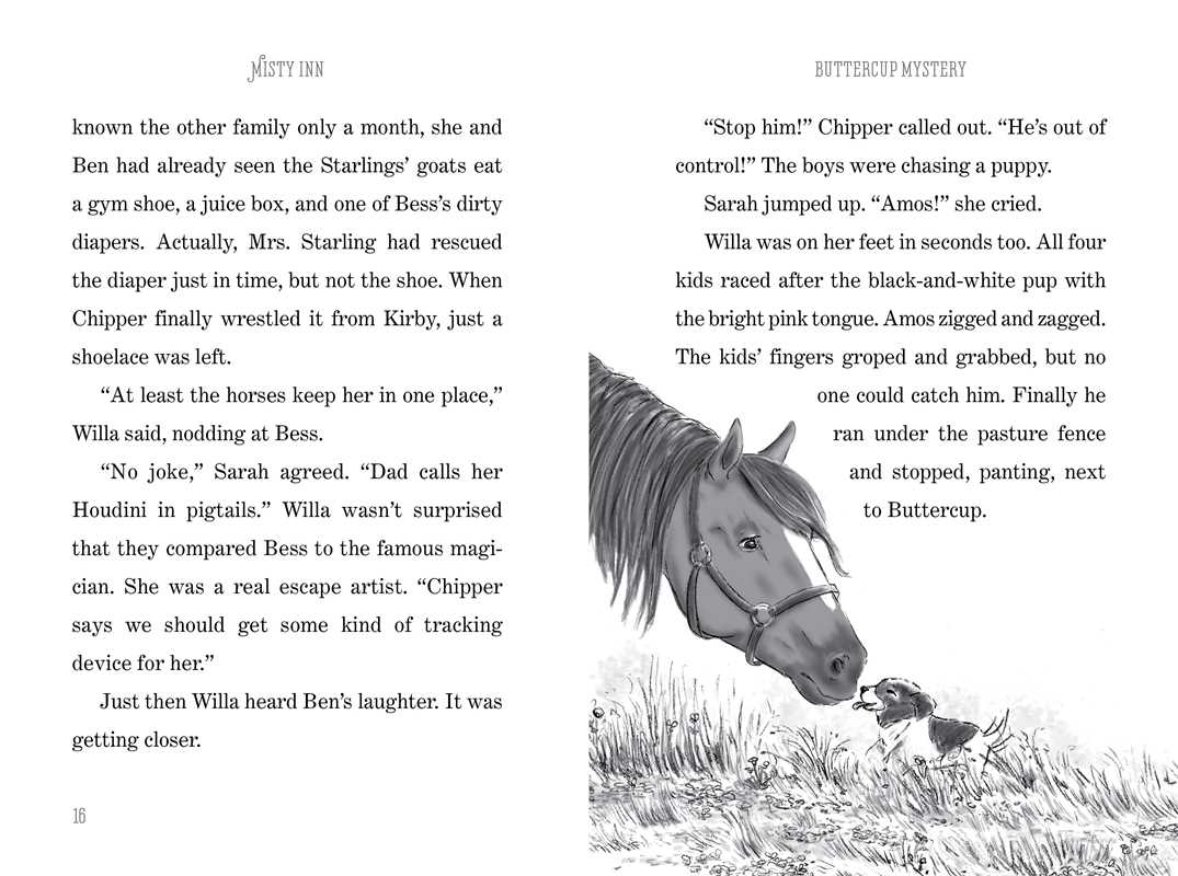 Buttercup Mystery by Kristin Earhart