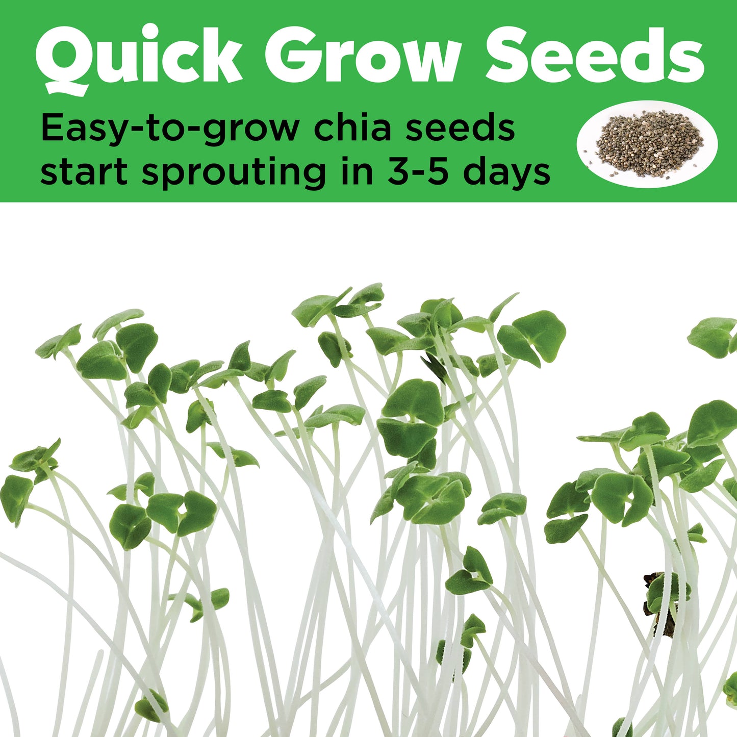Grow a Mini Garden - Princess - DIY Craft Kit for Kids