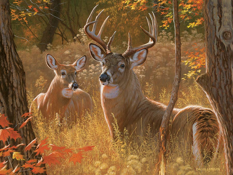 Secret Rendezvous 275pc Puzzle