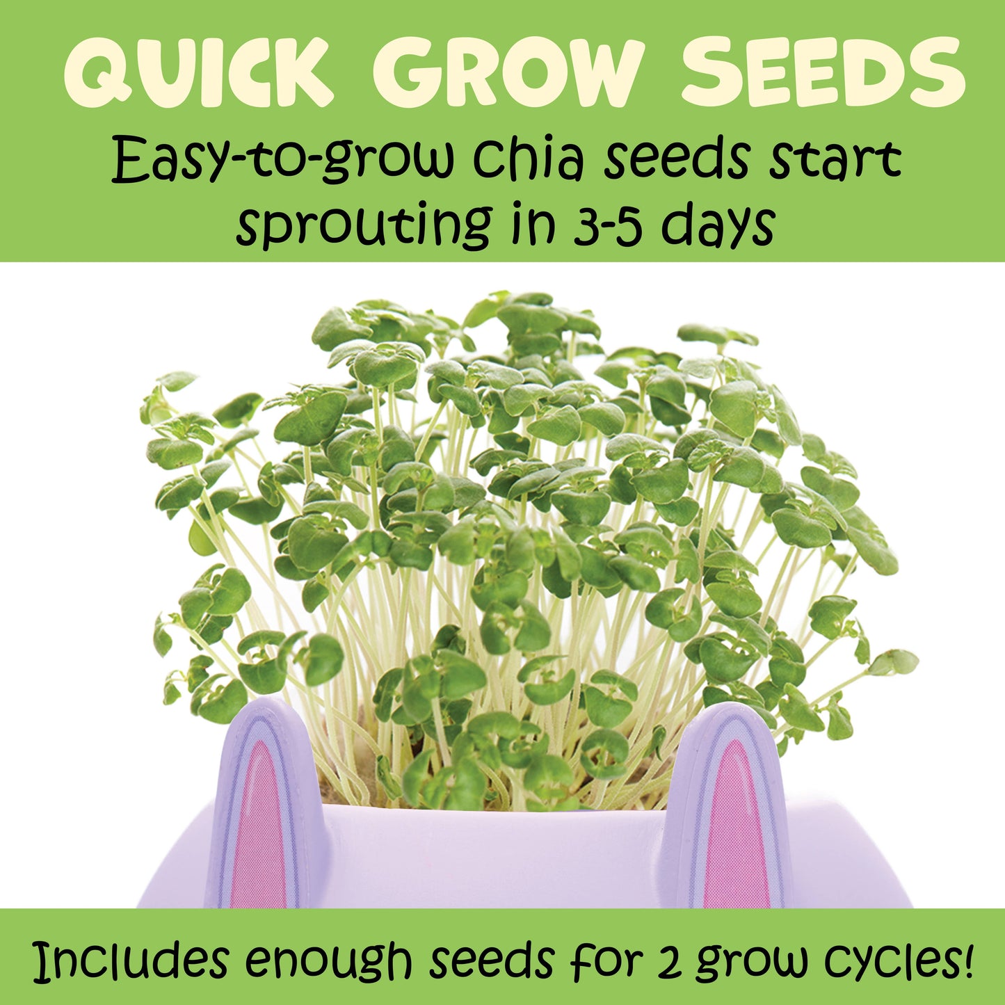 Plant and Decorate a Pet Mini Grow Craft Kit for Kids