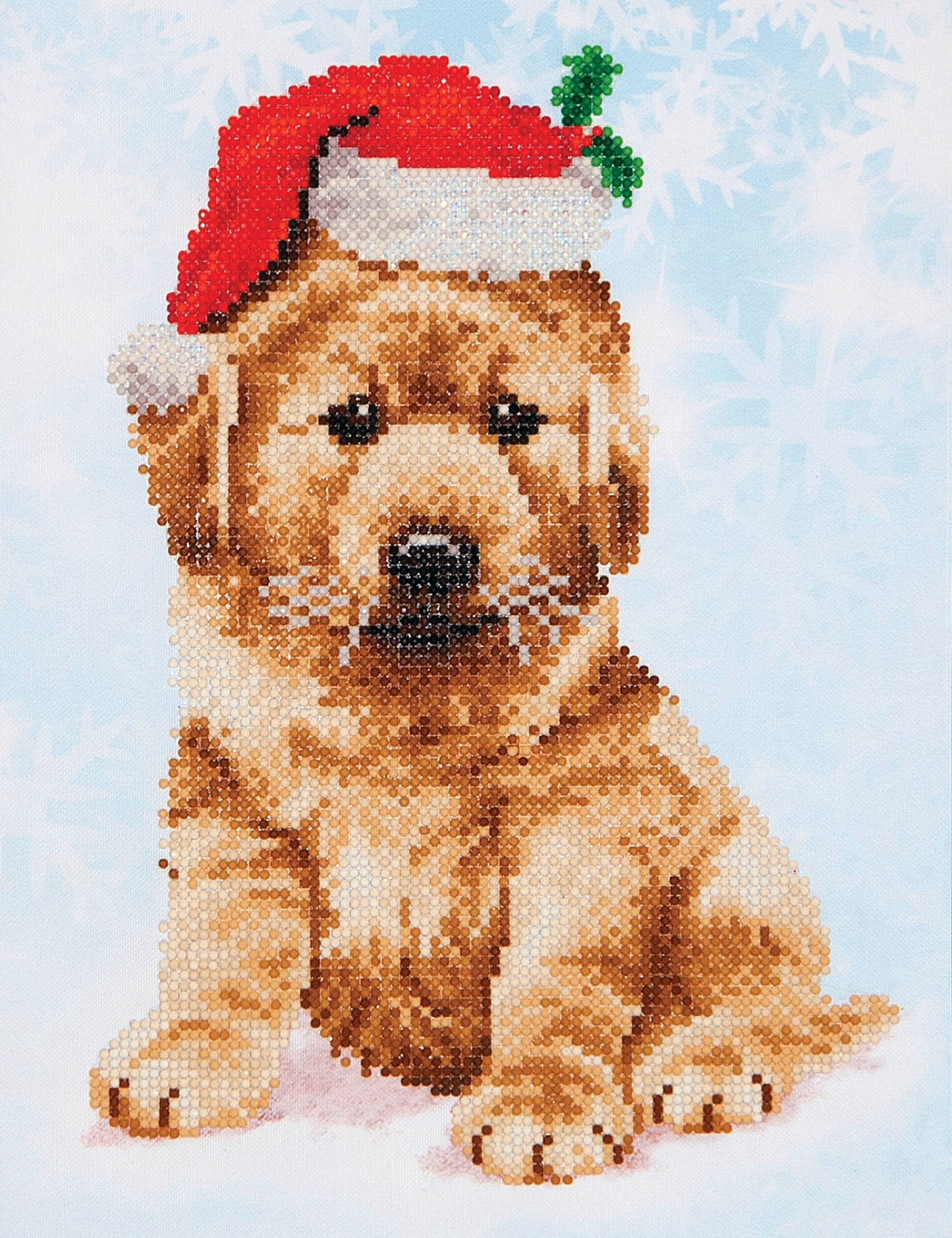 Christmas Lab