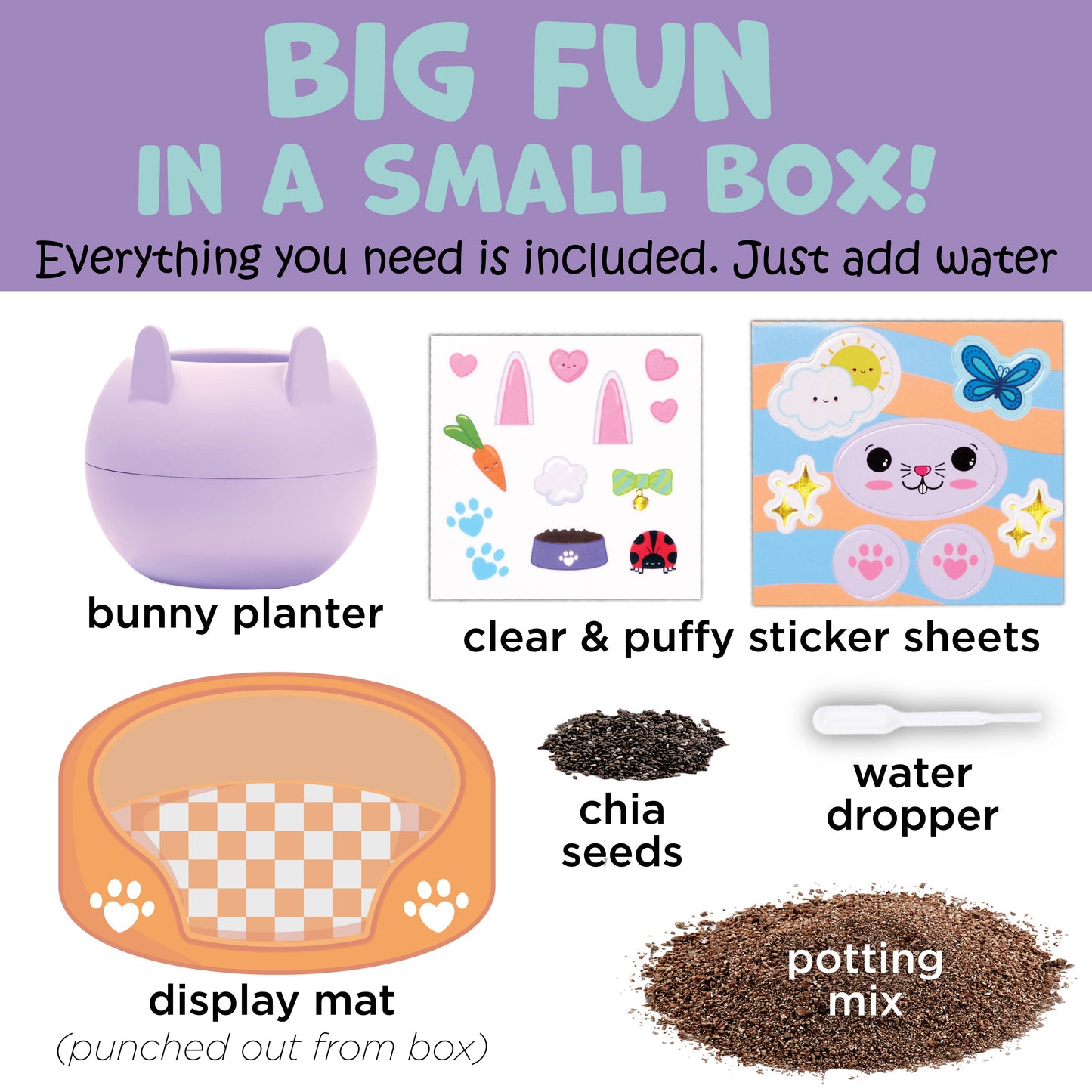 Plant and Decorate a Pet Mini Grow Craft Kit for Kids