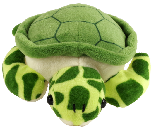 Hug a Sea Turtle Kit