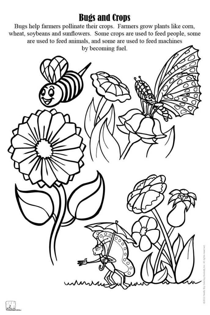 Food and Fun on the Farm Big Coloring Book 12"x 18"