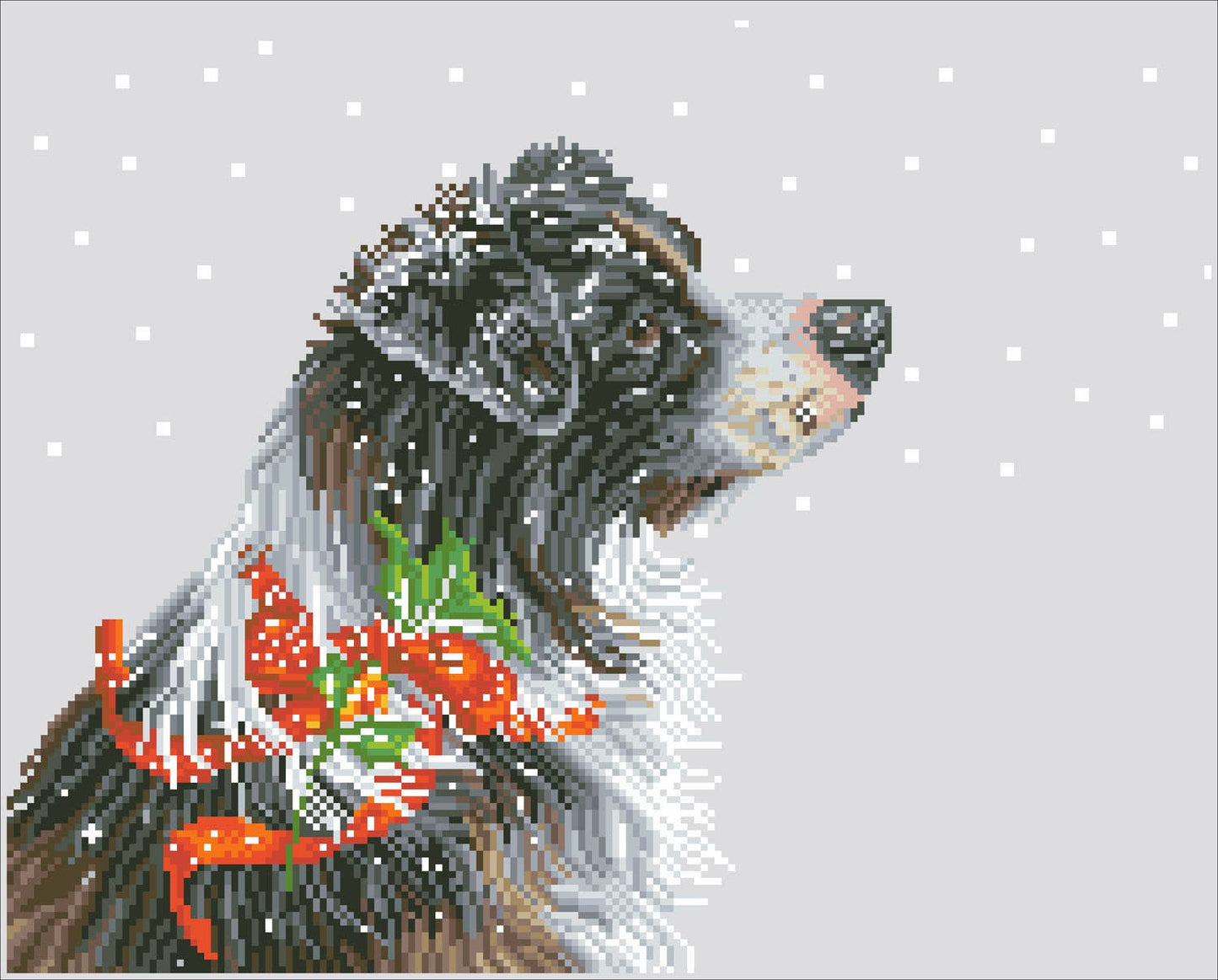 Christmas Collie