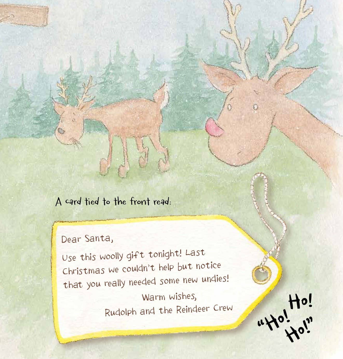 Santa's Underwear Picture Book