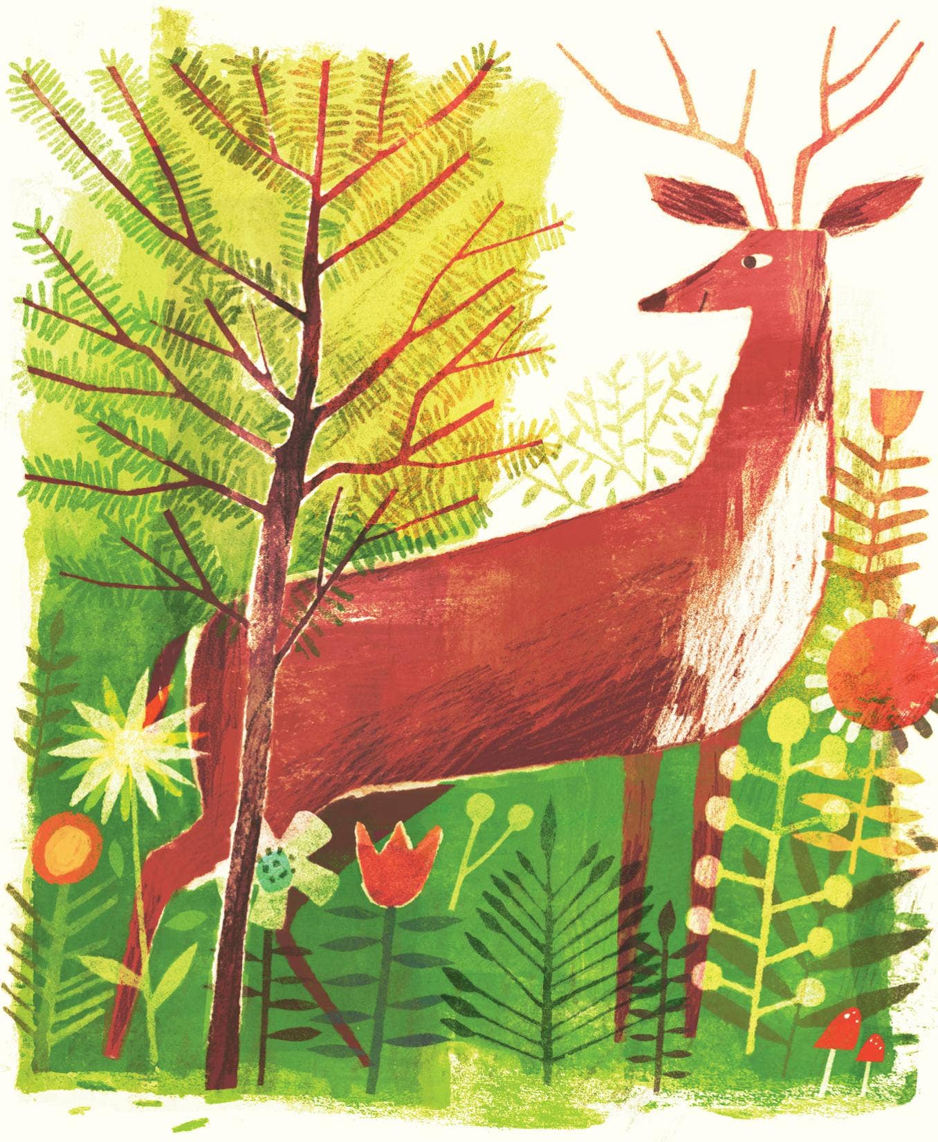 Pine Cone Regrown Picture Book