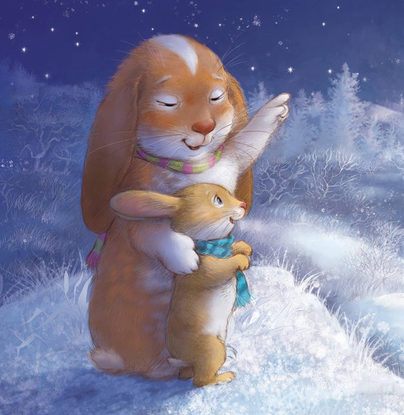 Christmas With Auntie Picture Book