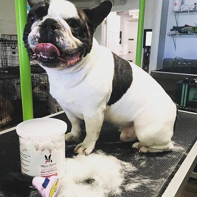 Deep Cleaning Paw Fizz Soak