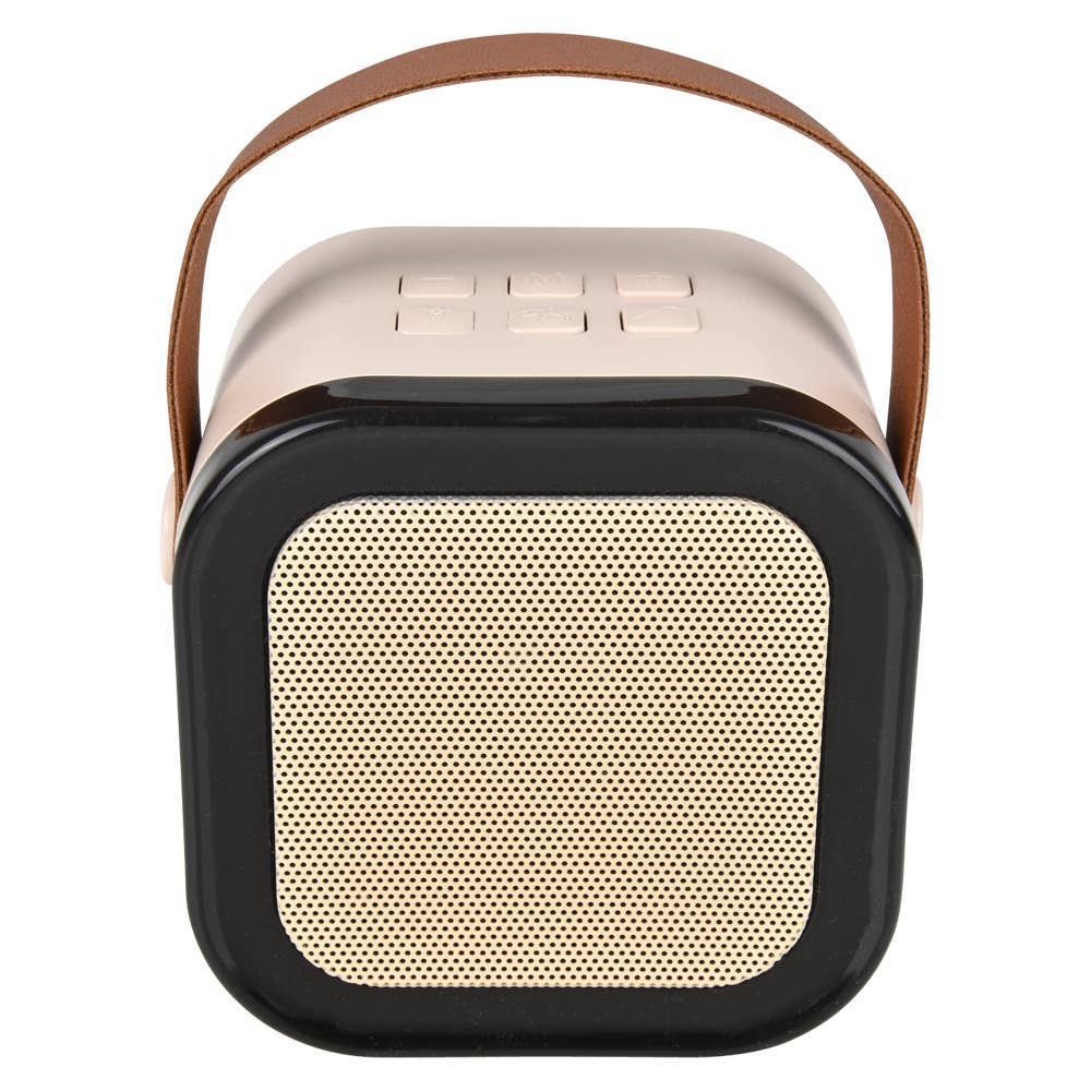 Wireless Karaoke Dual Mic Speaker - LLB Toys
