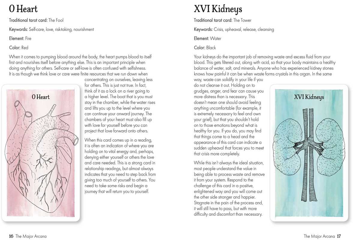 Body Tarot by Emma McArthur