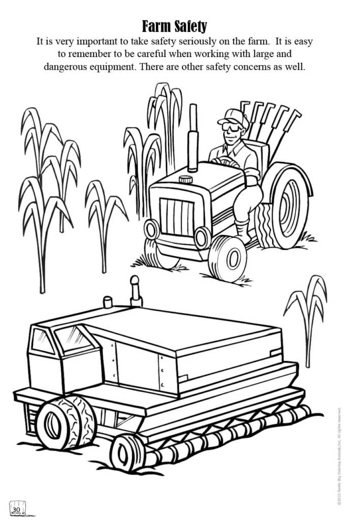 Food and Fun on the Farm Big Coloring Book 12"x 18"