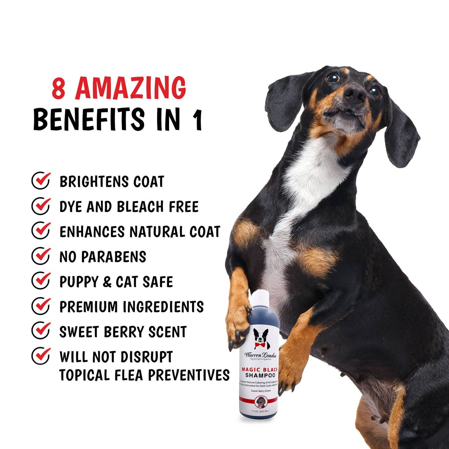 Magic Black Brightening Dog Shampoo