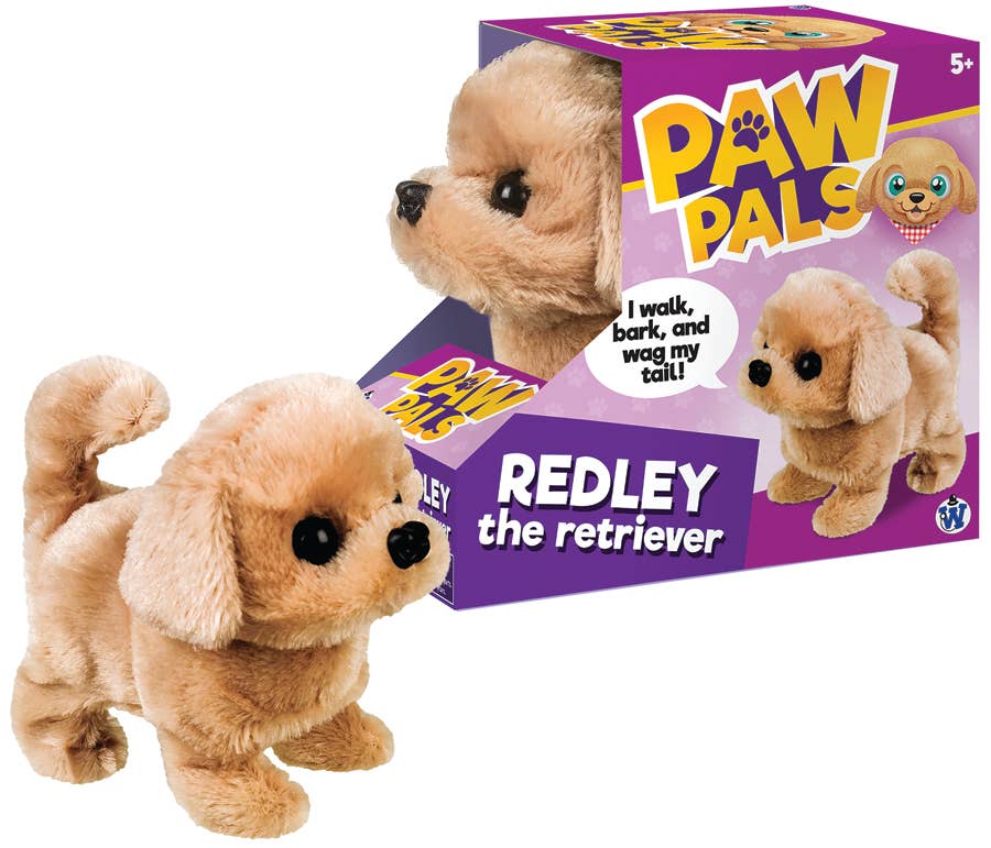 Westminster Redley the Walking Golden Retriever Dog