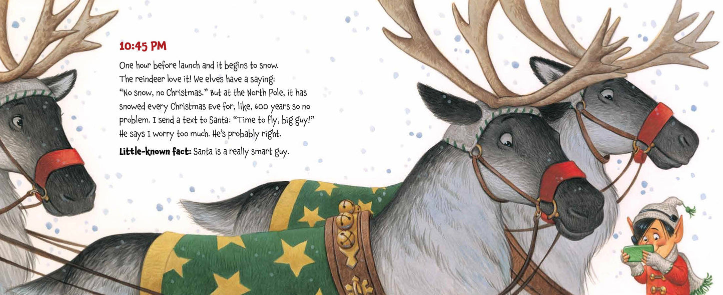 Memoirs of an Elf Picture Book