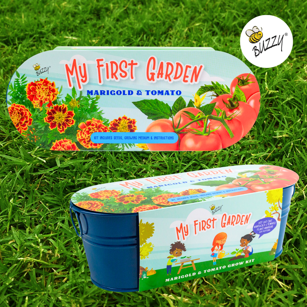 My First Garden Windowsill - Marigold and Tomato Grow Kit