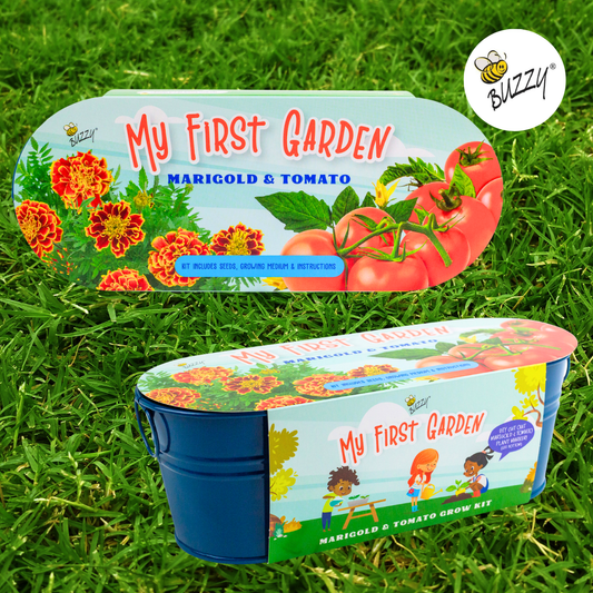 My First Garden Windowsill - Marigold and Tomato Grow Kit