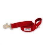Fabric Leash 5ft - 3 Colors